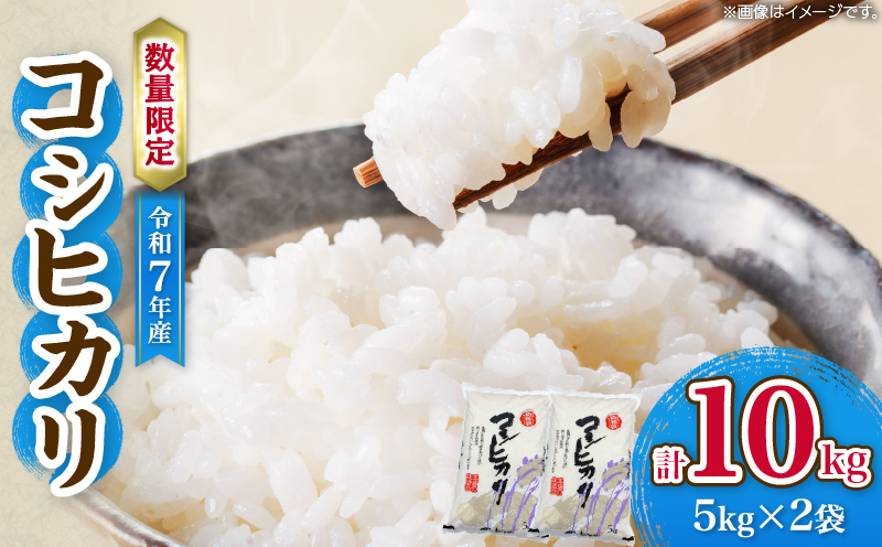 令和7年産 コシヒカリ 計10kg お米 ご飯 ライス 国産 数量限定 期間限定 人気 食品 精米 白米 こしひかり 有洗米 おにぎり お弁当 炊き込みご飯 雑炊 ギフト プレゼント 贈り物 お取り寄せ 産地直送 宮崎県 日南市 送料無料_E55-25 計10kg