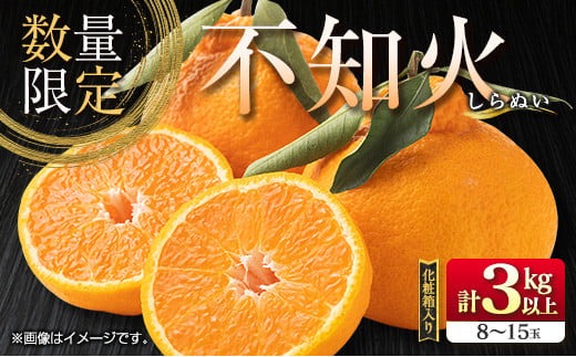 先行予約 不知火 計3kg以上 黒箱 化粧箱入り 期間限定 数量限定 果物 フルーツ くだもの 柑橘 みかん 令和8年発送 みかんジュース デザート おやつ 人気 おすすめ 国産 食品 ギフト 贈り物 贈答 ご褒美 お祝い 記念日 宮崎県 日南市 送料無料_BB140-24 計3kg以上