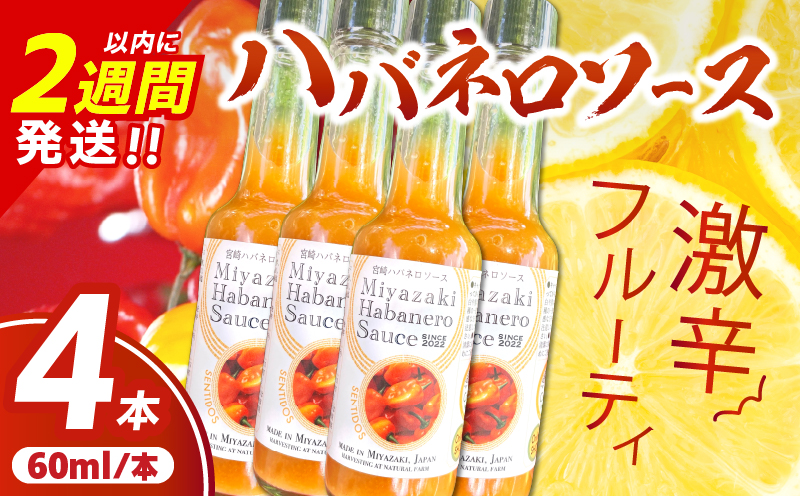 爽やか激辛食感 フルーティなハバネロソース 数量限定 宮崎 ハバネロ ソース 計4本 激辛ソース 調味料 おすすめ 加工品 オリジナル ブレンド 肉料理 パスタ ピザ ギフト プレゼント 贈り物 お取り寄せ 宮崎県 日南市 送料無料 日南スピード配送 コカゲワークス ハバネロソース_BB138-24