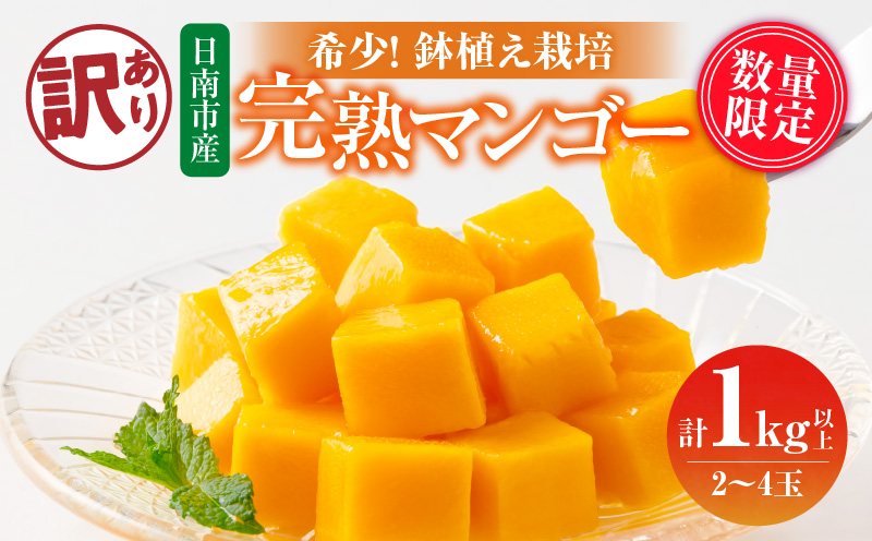 訳あり 数量限定 希少 完熟 マンゴー 鉢植え栽培 計1kg以上 期間限定 くだもの 果物 フルーツ 不揃い 糖度13度以上 日南市産 国産 ご家庭用 食品 デザート おやつ 人気 おすすめ ご褒美 おすそ分け 産地直送 トロピカルフルーツ 冷蔵 宮崎県 送料無料_CB95-24