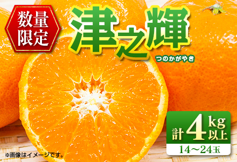 先行予約 津之輝 つのかがやき 4kg以上 (2kg×2箱) 希少 期間限定 数量限定 フルーツ 果物 くだもの 柑橘 みかん 令和8年発送 国産 食品 おすすめ デザート おやつ みかんジュース フルーツサンド ギフト 贈り物 贈答 おすそ分け 宮崎県 日南市 送料無料_BD92-24 4kg以上 (2kg×2箱)