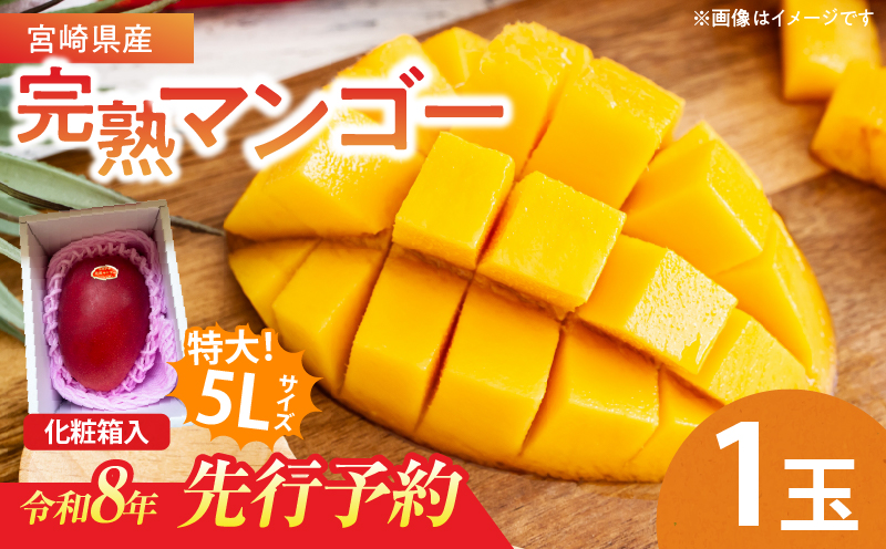 特大5Lサイズ 宮崎県産 完熟マンゴー 1玉 化粧箱入り 令和8年発送分 期間限定 数量限定 フルーツ 果物 くだもの 国産 食品 デザート おすすめ ご褒美 贅沢 産地直送 特大 希少 お祝 お土産 プレゼント ギフト 贈り物 宮崎県 日南市 送料無料_C107-23 1玉