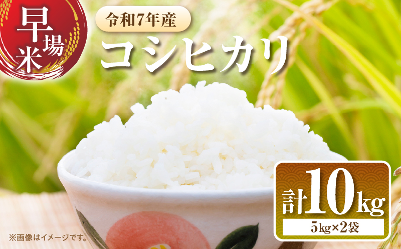 2週間以内に発送 早場米 コシヒカリ 計10kg 期間限定 日南市産 お米 ご飯 ライス 国産 令和7年産 人気 食品 精米 白米 こしひかり 有洗米 おにぎり お弁当 炊き込みご飯 雑炊 ギフト 贈り物 贈答 産地直送 宮崎県 日南市 送料無料_FA11-25 計10kg