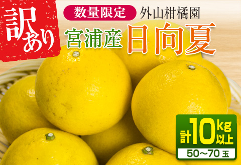 先行予約 訳あり 宮浦産 日向夏 計10kg以上 期間限定 数量限定 フルーツ 果物 くだもの 柑橘 みかん 令和8年発送 国産 産地直送 新鮮 食品 ジュース デザート フルーツサンド おやつ ご褒美 おすそ分け ご家庭用 宮崎県 日南市 送料無料_CA85-25 計10kg以上