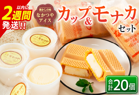 手作り アイス カップ ＆ モナカ セット 合計20個 スイーツ お菓子 食品 加工品 最中 なかつや 国産 おやつ デザート ご褒美 昔ながら 手作り 子供 乳製品 氷菓 詰め合わせ 食べ比べ お取り寄せ グルメ おすそ分け おすすめ 懐かしい 宮崎県 日南市 送料無料 日南スピード配送_CA34-23