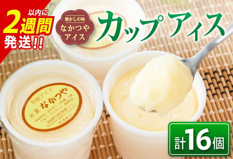 手作り アイス カップ セット 計16個 スイーツ デザート おやつ 国産 食品 加工品 お菓子 氷菓 なかつや 昔ながら 懐かしの味 ご褒美 お祝い 記念日 ギフト 贈り物 プレゼント お取り寄せ グルメ おすすめ おすそ分け 詰め合わせ 宮崎県 日南市 送料無料 日南スピード配送_CA35-23
