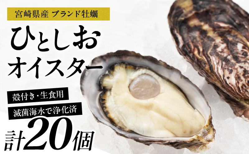数量限定 宮崎県産 ブランド 牡蠣 ひとしおオイスター 計20個 魚介 魚貝 かき 生食用 殻付き 国産 おかず おつまみ 食品 海鮮 海産物 シーフード BBQ バーベキュー アウトドア グランピング 海の幸 養殖 絶品 贅沢 ご褒美 お取り寄せ グルメ 日南市 送料無料_CB81-23