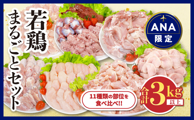【ANA限定】若鶏 まるごと セット 合計3kg以上 鶏肉 国産 チキン 鶏もも肉 鶏むね肉 切身 ささみ 肝 砂肝 小肉 手羽先 手羽中 手羽元 肩肉 骨付きもも 人気 小分け おかず お弁当 食品 真空パック BBQ お取り寄せ おすすめ 記念日 お祝い おすそ分け 日南市 宮崎県 送料無料_CA57-24