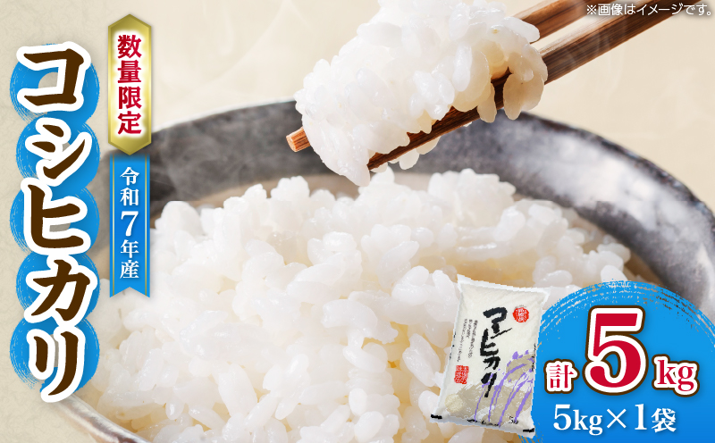 令和7年産 コシヒカリ 計5kg お米 ご飯 ライス 国産 数量限定 期間限定 人気 食品 精米 白米 こしひかり 有洗米 おにぎり お弁当 炊き込みご飯 雑炊 ギフト プレゼント 贈り物 お取り寄せ 産地直送 宮崎県 日南市 送料無料_BC134-25 計5kg