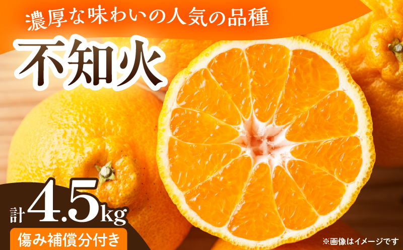 先行予約 不知火 計4.5kg 傷み補償分付き 期間限定 果物 くだもの フルーツ 蜜柑 ミカン 柑橘 おやつ デザート みかんジュース ゼリー シャーベット おすすめ おすそ分け 国産 食品 産地直送 お祝い お返し ギフト 贈り物 贈答 宮崎県 日南市 送料無料_CB112-25