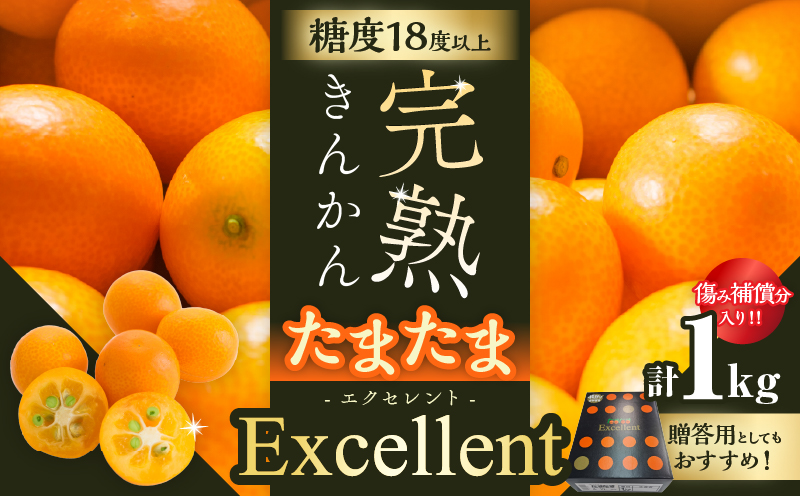 糖度18度以上!! 完熟きんかん たまたま エクセレント 計1kg 傷み補償分入り 期間限定 数量限定 フルーツ 果物 柑橘 金柑 国産 食品 A品 2L 最高級 ブランド 大粒 極甘 デザート おすすめ ギフト プレゼント 贈り物 贈答 先行予約 宮崎県 日南市 送料無料_CB115-25