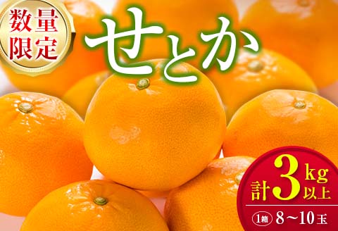 柑橘界の大トロ!! とろけるような食感!! せとか 計3kg以上 化粧箱入り 期間限定 数量限定 先行予約 2026 令和8年発送 果物 くだもの 柑橘 みかん おやつ デザート 国産 食品 おすすめ ギフト 贈り物 贈答 おすそ分け お祝い お返し 宮崎県 日南市 送料無料_D99-24
