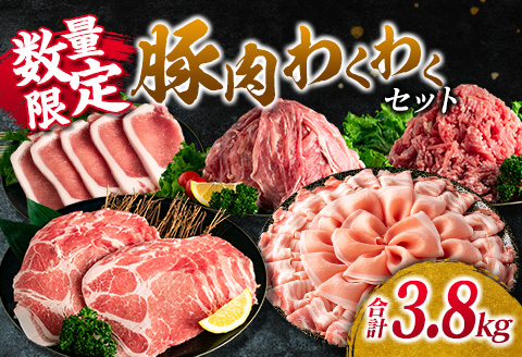 数量限定 豚肉 わくわく セット 合計3.8kg ポーク 国産 豚ロース とんかつ スライス 豚切り落とし 豚バラ しゃぶしゃぶ ミンチ 挽肉 ハンバーグ すき焼き 弁当 おかず おつまみ 万能食材 真空パック 大容量 詰め合わせ お取り寄せ 宮崎県 日南市 送料無料_CD66-25