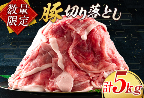 小分けで便利 数量限定 豚 切り落とし 計5kg お肉 豚肉 ポーク 国産 小分け 真空パック 個包装 万能食材 おすすめ おかず 食品 炒め物 お弁当 豚丼 豚しゃぶ しゃぶしゃぶ 焼肉 お祝い 記念日 ギフト 贈り物 贈答 プレゼント おすそ分け 宮崎県 日南市 送料無料_CD61-24