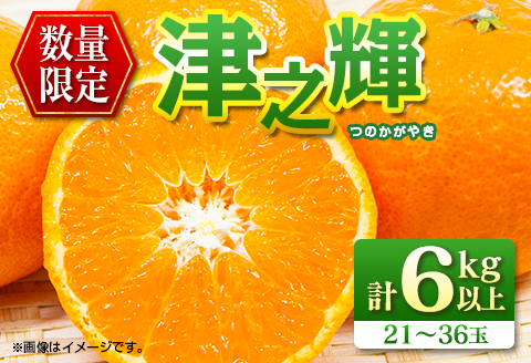 先行予約 津之輝 つのかがやき 6kg以上 (2kg×3箱) 希少 期間限定 数量限定 フルーツ 果物 くだもの 柑橘 みかん 令和8年発送 国産 食品 おすすめ デザート おやつ みかんジュース フルーツサンド ギフト 贈り物 贈答 おすそ分け 宮崎県 日南市 送料無料_D90-24 6kg以上 (2kg×3箱)