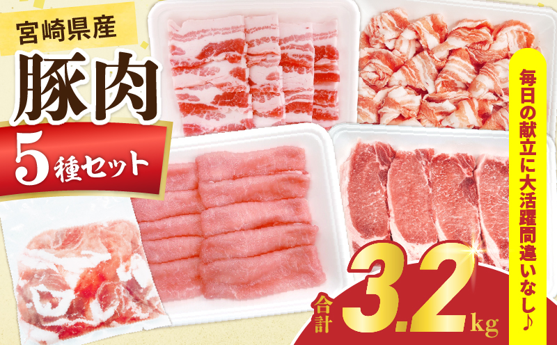 宮崎県産 豚肉 5種 セット (合計3.2kg) 国産 食品 豚バラ 切り落とし ロース スライス 焼肉 BBQ しゃぶしゃぶ 生姜焼き とんかつ ソテー 豚丼 野菜炒め 冷しゃぶ 個包装 小分け おすすめ おかず お弁当 晩ご飯 手軽 便利 ギフト 贈り物 冷凍 日南市 送料無料_CD73-25