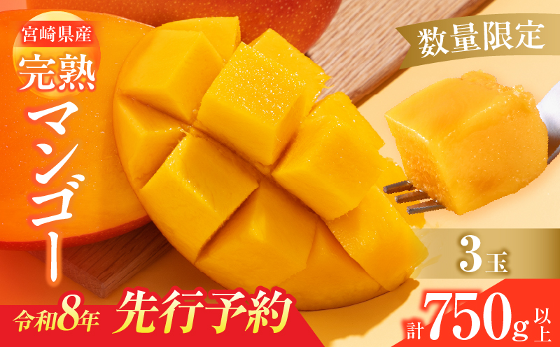 数量限定 宮崎県産 完熟マンゴー 3玉 計750g以上 期間限定 フルーツ スイーツ 果物 くだもの 食品 グルメ デザート 国産 産地直送 人気 おすすめ おやつ 高級 ご褒美 贅沢 贈り物 ギフト プレゼント 令和8年発送分 宮崎県 日南市 送料無料_CD74-25 3玉（計750g以上）