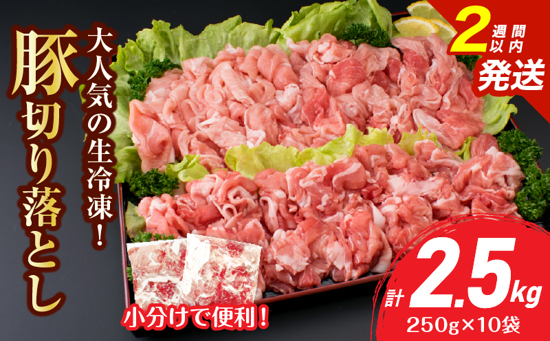 大人気 生冷凍 厳選 豚切り落とし 計2.5kg 国産 食品 豚肉 ぶた ポーク 小分け 個包装 真空パック 便利 大容量 生姜焼き 野菜炒め 豚汁 肉じゃが 豚丼 お弁当 おかず 晩ご飯 おすすめ 使い切りサイズ 万能食材 おすそ分け 宮崎県 日南市 送料無料_CV5-25-2W 【計2.5kg】250g×10袋