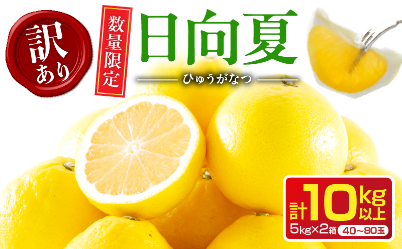 先行予約 訳あり 日向夏 計10kg以上 期間限定 数量限定 果物 フルーツ くだもの 柑橘 みかん 令和8年発送 ジュース フルーツサンド おやつ デザート 国産 食品 おすすめ バラ詰め おすそ分け ご家庭用 手土産 宮崎県 日南市 送料無料_D114-25 計10kg以上