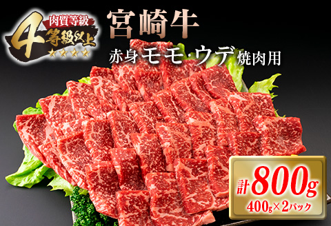 宮崎牛 赤身 モモ ウデ 焼肉 セット 計800g 牛肉 ビーフ 黒毛和牛 国産 ブランド牛 赤身肉 おすすめ おもてなし BBQ バーベキュー グランピング 鉄板焼き ご褒美 お祝い 記念日 詰め合わせ お取り寄せ グルメ 4等級以上 A4ランク以上 宮崎県 日南市 送料無料_DC28-25