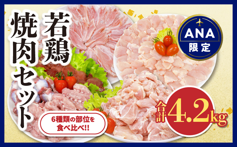 【ANA限定】若鶏 焼肉 セット 合計4.2kg 鶏肉 国産 チキン 鶏もも肉 切身 肝 砂肝 小肉 手羽中 チキンリブ 肩肉 人気 小分け 便利 おかず お弁当 おつまみ 食品 真空パック BBQ 唐揚げ お取り寄せ おすすめ ご褒美 記念日 お祝い おすそ分け 日南市 宮崎県 送料無料_D94-24