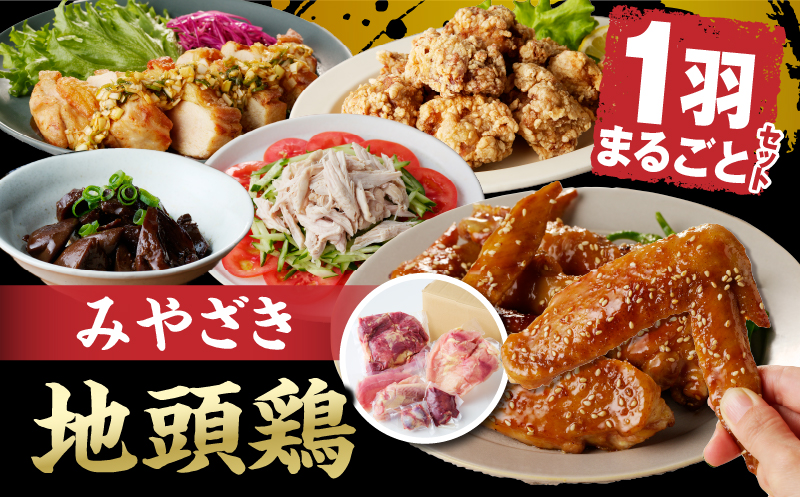 数量限定 みやざき地頭鶏 1羽まるごとセット 肉 鶏肉 国産 食品 小分け 食べ比べ もも むね ささみ 手羽先 手羽元 砂肝 レバー おかず おつまみ お弁当 晩ご飯 から揚げ サラダ 真空パック 冷凍 おすすめ ギフト 贈り物 贈答 宮崎県 日南市 送料無料_DC22-24