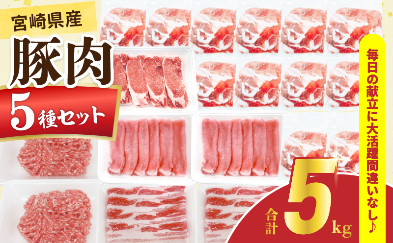 宮崎県産 豚肉 5種 セット (合計5kg) 国産 食品 ロース 豚バラ スライス 切り落とし ミンチ しゃぶしゃぶ 生姜焼き とんかつ ソテー 豚丼 ハンバーグ 餃子 個包装 小分け おすすめ おかず お弁当 晩ご飯 手軽 便利 ギフト 贈り物 冷凍 日南市 送料無料_DC33-25