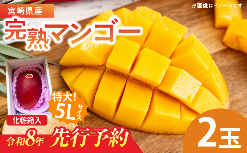 特大5Lサイズ 宮崎県産 完熟マンゴー 2玉 化粧箱入り 令和8年発送分 期間限定 数量限定 フルーツ 果物 くだもの 国産 食品 デザート おすすめ ご褒美 贅沢 産地直送 特大 希少 お祝 お土産 プレゼント ギフト 贈り物 宮崎県 日南市 送料無料_E48-24 2玉