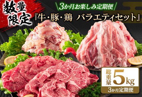 数量限定 3か月 お楽しみ 定期便 牛肉 豚肉 鶏肉 バラエティ セット 総重量5kg 宮崎牛 黒毛和牛 国産 ブランド牛 食品 おかず お弁当 おつまみ 切り落とし 切身 焼肉 からあげ お取り寄せ グルメ 小分け 真空パック おすそ分け 宮崎県 日南市 送料無料_G62-25
