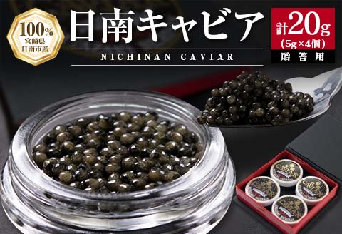 日南CAVIAR キャビア 5g 4個 計20g 魚卵 魚介 国産 食品 加工品 高級食材 贅沢 三大珍味 黒いダイヤ おつまみ ご褒美 記念日 お祝い パーティー オードブル 個包装 ギフト 贈り物 贈答 プレゼント お取り寄せ グルメ おすすめ 水産物 宮崎県 送料無料_FD3-23