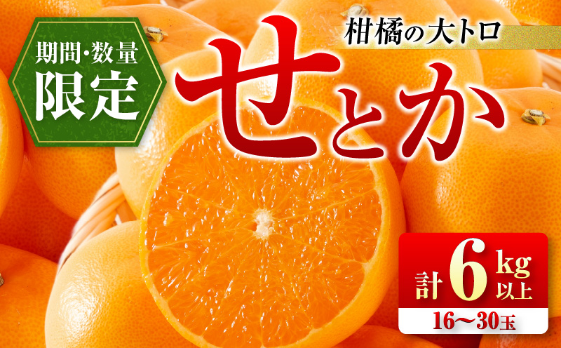 柑橘の大トロ せとか 計6kg以上 先行予約 希少 期間限定 数量限定 フルーツ 果物 くだもの 柑橘 みかん オレンジ 令和8年発送 みかんジュース フルーツサンド 国産 食品 人気 おすすめ デザート おやつ ギフト 贈り物 贈答 宮崎県 日南市 送料無料_FD7-24 計6kg以上