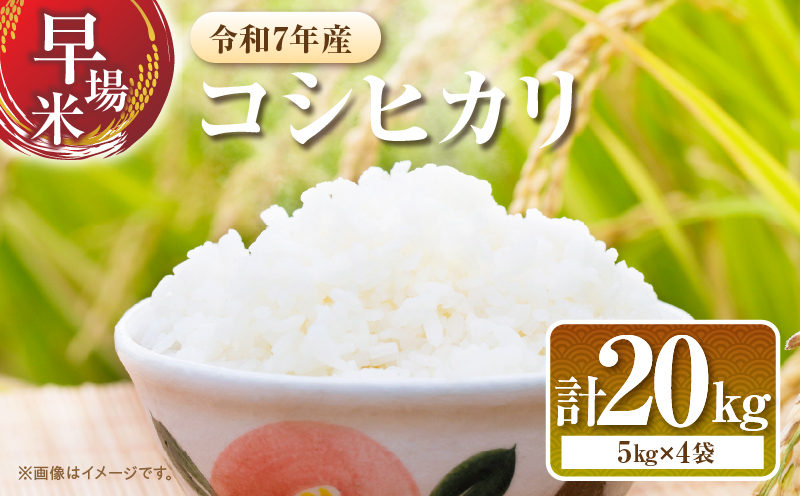 2週間以内に発送 早場米 コシヒカリ 計20kg 期間限定 日南市産 お米 ご飯 ライス 国産 令和7年産 人気 食品 精米 白米 こしひかり 有洗米 おにぎり お弁当 炊き込みご飯 雑炊 ギフト 贈り物 贈答 産地直送 宮崎県 日南市 送料無料_I30-25 計20kg