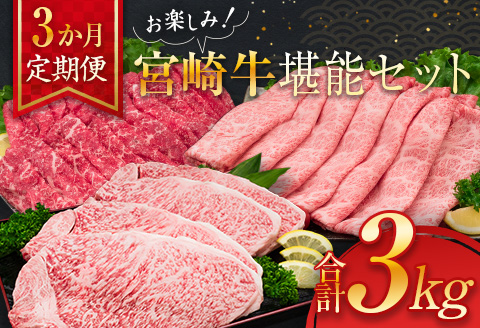 3か月 お楽しみ 定期便 宮崎牛 堪能 セット 合計3kg 牛肉 黒毛和牛 国産 ブランド牛 ミヤチク 肩ロース モモ ステーキ スライス しゃぶしゃぶ すき焼き 焼肉 4等級以上 高級 贅沢 ご褒美 お祝 記念日 おかず お取り寄せ グルメ 食品 宮崎県 日南市 送料無料_L9-25