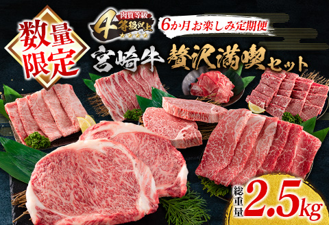 数量限定 6か月 お楽しみ 定期便 宮崎牛 贅沢 満喫 セット 総重量2.5kg 黒毛和牛 ブランド牛 牛肉 国産 ビーフ 人気 食品 焼肉 ステーキ スライス 小間切れ しゃぶしゃぶ すき焼き ミヤチク お取り寄せ グルメ ご褒美 記念日 お祝 宮崎県 日南市 送料無料_NA1-25