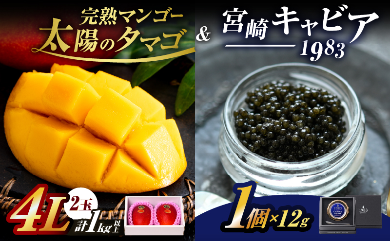 完熟マンゴー 太陽のタマゴ (4L×2玉) ＆ 宮崎キャビア1983 1個 期間限定 数量限定 宮崎 マンゴー フルーツ 果物 くだもの キャビア 魚介 魚卵 詰め合わせ 国産 食品 希少 デザート おすすめ 冷蔵 ご褒美 贅沢 選べる ギフト 贈り物 日南市 送料無料_LF1-25 太陽のタマゴ4L×2玉＆キャビア1個