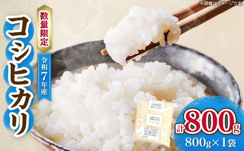 令和7年産 コシヒカリ 計800g お米 ご飯 ライス 国産 数量限定 人気 食品 精米 白米 こしひかり 有洗米 おにぎり お弁当 炊き込みご飯 雑炊 ギフト プレゼント 贈り物 お取り寄せ 産地直送 宮崎県 日南市 送料無料_ZVV2-25 計800g
