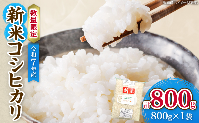 令和7年産 新米 コシヒカリ 計800g お米 ご飯 ライス 国産 数量限定 人気 食品 精米 白米 こしひかり 有洗米 おにぎり お弁当 炊き込みご飯 雑炊 ギフト プレゼント 贈り物 お取り寄せ 産地直送 宮崎県 日南市 送料無料_ZVV2-25 計800g