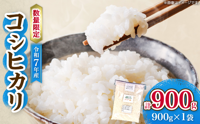 令和7年産 コシヒカリ 計900g お米 ご飯 ライス 国産 数量限定 人気 食品 精米 白米 こしひかり 有洗米 おにぎり お弁当 炊き込みご飯 雑炊 ギフト プレゼント 贈り物 お取り寄せ 産地直送 宮崎県 日南市 送料無料_ZVV3-25 計900g