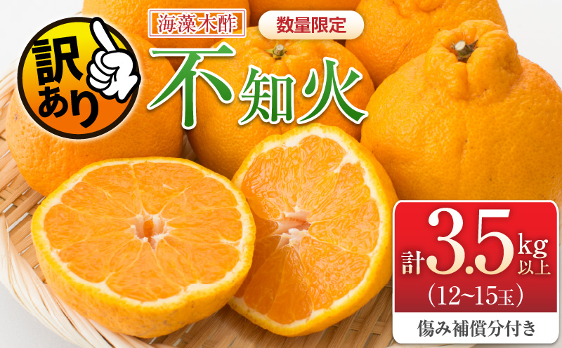 先行予約 訳あり 海藻木酢 不知火 計3.5kg以上 傷み補償分付き 期間限定 数量限定 フルーツ 果物 くだもの 柑橘 みかん 訳アリ 国産 食品 デザート おやつ おすそ分け おすすめ ご家庭用 ご自宅用 B品 傷 マーマレード 産地直送 宮崎県 日南市 送料無料_ZZV1-24