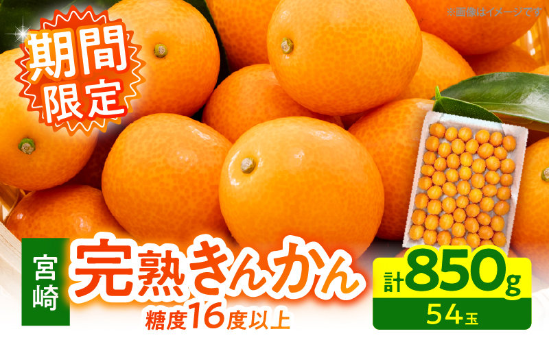 【1週間以内発送】ゴトウさんの 宮崎 完熟 きんかん 約850g(計54玉) 期間限定 フルーツ 果物 くだもの 金柑 柑橘 青果 キンカン 国産 食品 人気 おすすめ ギフト 贈り物 贈答 おすそ分け お礼 新鮮 産地直送 高糖度 甘い 選べる 宮崎県 日南市 送料無料_ZX12-25 約850g(54玉)寄附額6,000円