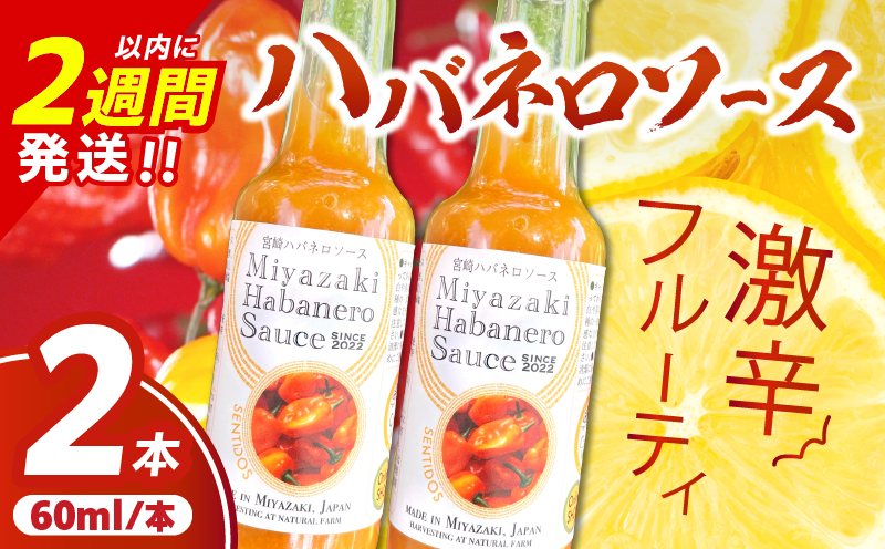 爽やか激辛食感 フルーティなハバネロソース 数量限定 宮崎 ハバネロ ソース 計2本 激辛ソース 調味料 おすすめ 加工品 オリジナル ブレンド 肉料理 パスタ ピザ ギフト プレゼント 贈り物 お取り寄せ 宮崎県 日南市 送料無料 日南スピード配送 コカゲワークス ハバネロソース_ZXV1-24