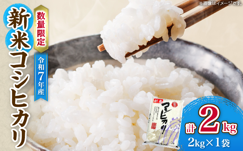 令和7年産 新米 コシヒカリ 計2kg お米 ご飯 ライス 国産 数量限定 人気 食品 精米 白米 こしひかり 有洗米 おにぎり お弁当 炊き込みご飯 雑炊 ギフト プレゼント 贈り物 お取り寄せ 産地直送 宮崎県 日南市 送料無料_A98-25 計2kg