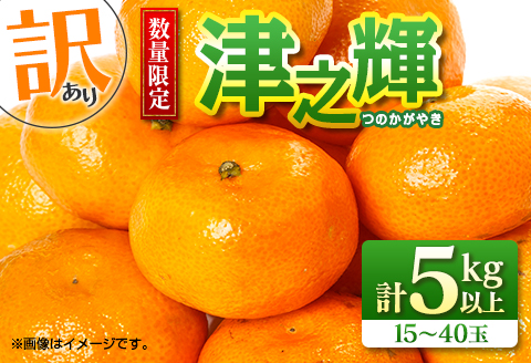 先行予約 訳あり 数量限定 津之輝 つのかがやき 5kg以上 (5kg×1箱) フルーツ 果物 くだもの 柑橘 みかん 国産 食品 おすすめ 訳アリ ご家庭用 ご自宅用 B品 傷 おすそ分け デザート おやつ フルーツサンド ジュース 宮崎県 日南市 送料無料 南郷包装津之輝_BB86-23