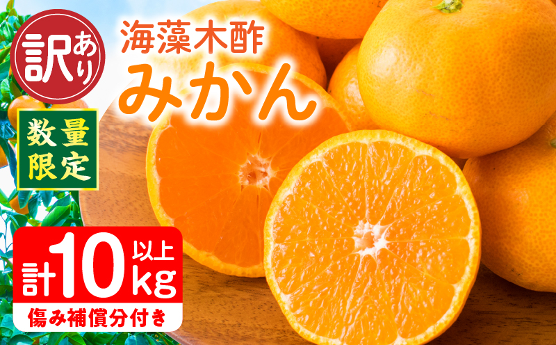 訳あり 数量限定 海藻木酢みかん 計10kg以上 傷み補償分付き フルーツ 果物 くだもの 柑橘 みかん 国産 期間限定 食品 家庭用 自宅用 B品 わけあり オレンジ デザート おやつ おすすめ おすそ分け ご褒美 お取り寄せ グルメ 産地直送 宮崎県 日南市 送料無料 KOO評価★日南市 うめぇもん祭 日南市からの贈り物特集 橘孝園_BAV1-24