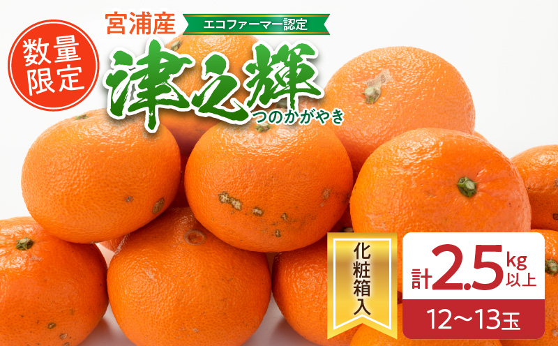 数量限定 津之輝 計2.5kg以上 果物 フルーツ くだもの みかん 柑橘 先行予約 2025年 期間限定 デザート おやつ ジュース フルーツサンド おすすめ 国産 食品 ギフト 贈り物 贈答 ご褒美 お祝い 記念日 おすそ分け 産地直送 宮崎県 日南市 送料無料 日南市外山柑橘園_BA69-23