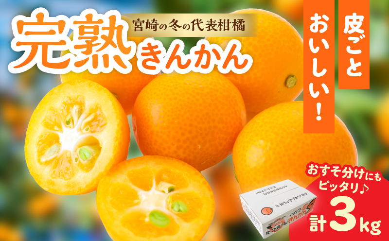 完熟きんかん 計3kg 期間限定 数量限定 フルーツ 果物 くだもの 柑橘 金柑 国産 食品 デザート おやつ 甘露煮 ジャム まるごと 甘い ビタミン おすすめ ギフト プレゼント おすそ分け 産地直送 先行予約 令和8年発送 宮崎県 日南市 送料無料_BAV9-25