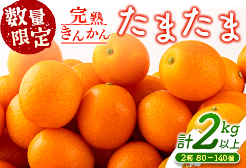 先行予約 数量限定 完熟きんかん たまたま 計2kg以上 (1kg×2箱) フルーツ 果物 くだもの 柑橘 金柑 国産 食品 期間限定 大粒 宮崎ブランド 希少 おすすめ デザート おやつ ギフト 贈り物 贈答 お返し お祝い おすそ分け 産地直送 日南市 送料無料 南郷包装たまたま_BC103-24