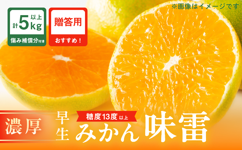 糖度13度以上 先行予約 数量限定 早生みかん 味雷 みらい 計5kg以上 傷み補償分付き 期間限定 フルーツ 果物 くだもの 柑橘 蜜柑 ミカン 国産 おすすめ ギフト 贈り物 贈答 おやつ デザート 食品 フルーツサンド みかんジュース 宮崎県 日南市 送料無料 New返礼品 日南市からの贈り物特集 長友果樹園_BC99-24