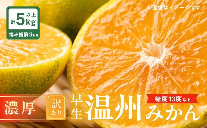 糖度13度以上 先行予約 訳あり 数量限定 早生 温州みかん 計5kg以上 傷み補償分付き 期間限定 フルーツ 果物 くだもの 柑橘 蜜柑 ミカン 国産 わけあり おすすめ おすそ分け おやつ デザート 食品 フルーツサンド みかんジュース 宮崎県 日南市 送料無料 NEW返礼品 うめぇもん祭 長友果樹園_BV3-24