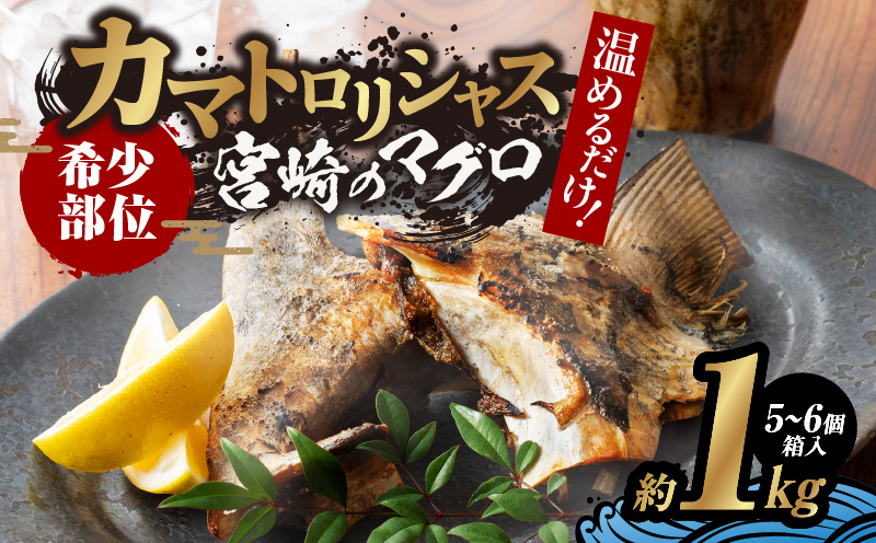 カマトロリシャス 宮崎のマグロ 約1kg マグロ カマ焼き カマ まぐろ おかず おつまみ お弁当 食品 希少 ご褒美 おうち時間 おすすめ お取り寄せ 簡単調理 海鮮 魚介 カマトロ お土産 ギフト 贈答 キャンプ グランピング BBQ 冷凍 宮崎県 日南市 送料無料